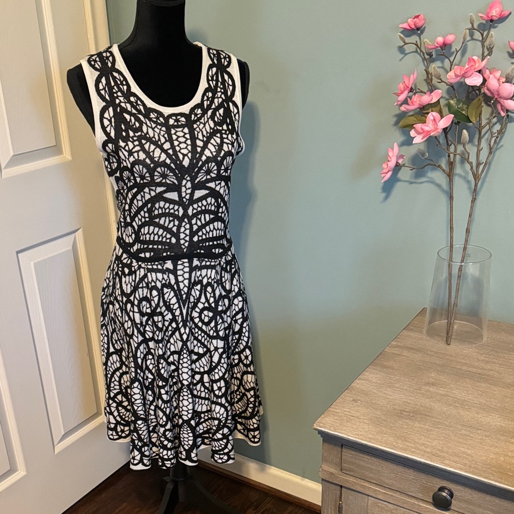 BCBG Black & White Knit Dress
